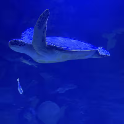 IMG_1873.jpg