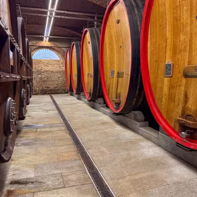 Wine barrels inside Marchesi di Barolo cellar in Barolo, Piedmont, Italy