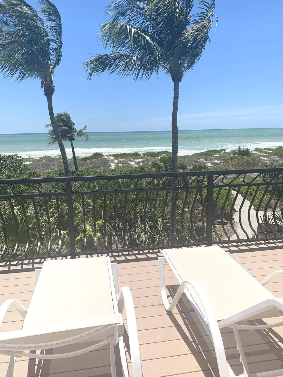 Sea Palms and Sea Oats Captiva