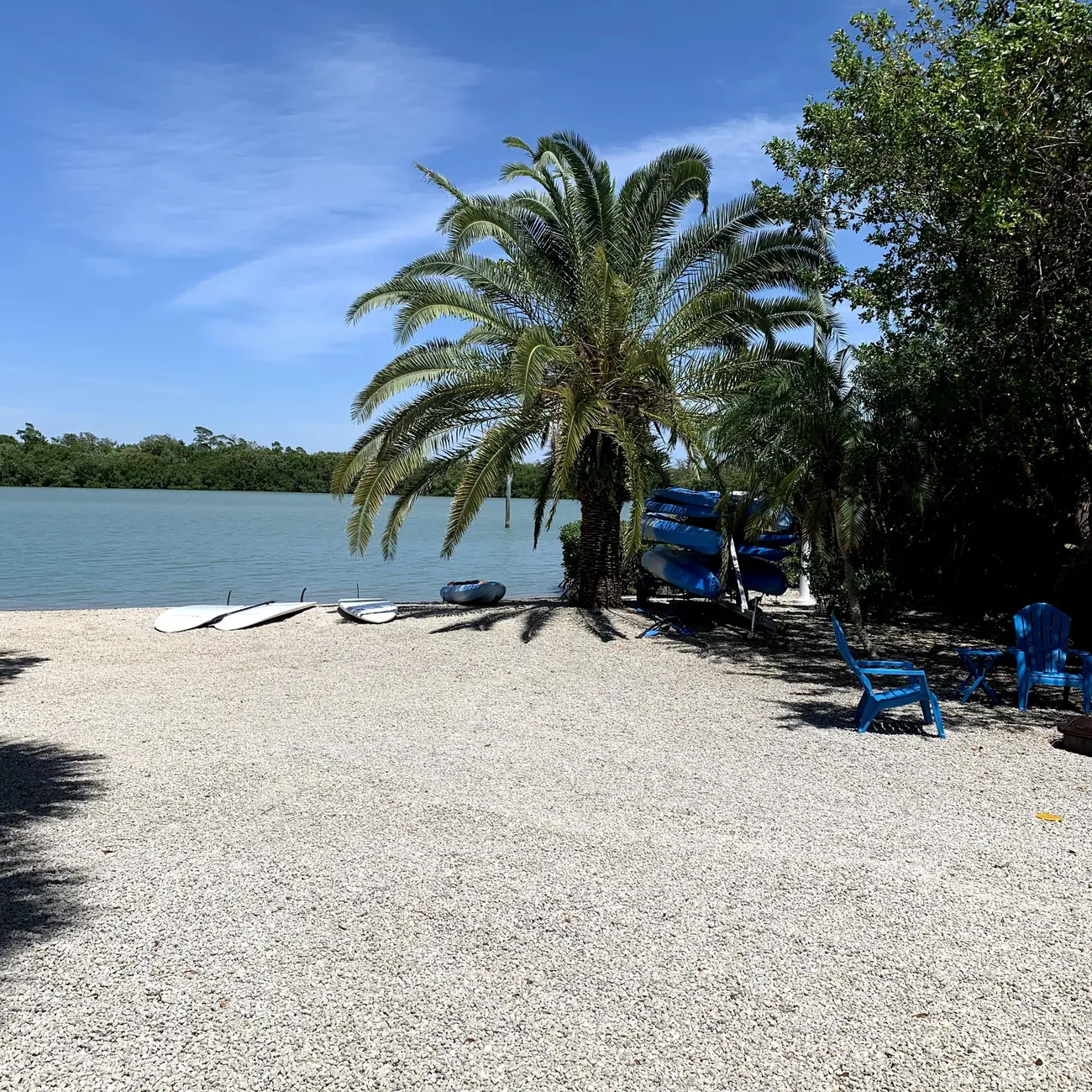 Sea Palms and Sea Oats Captiva