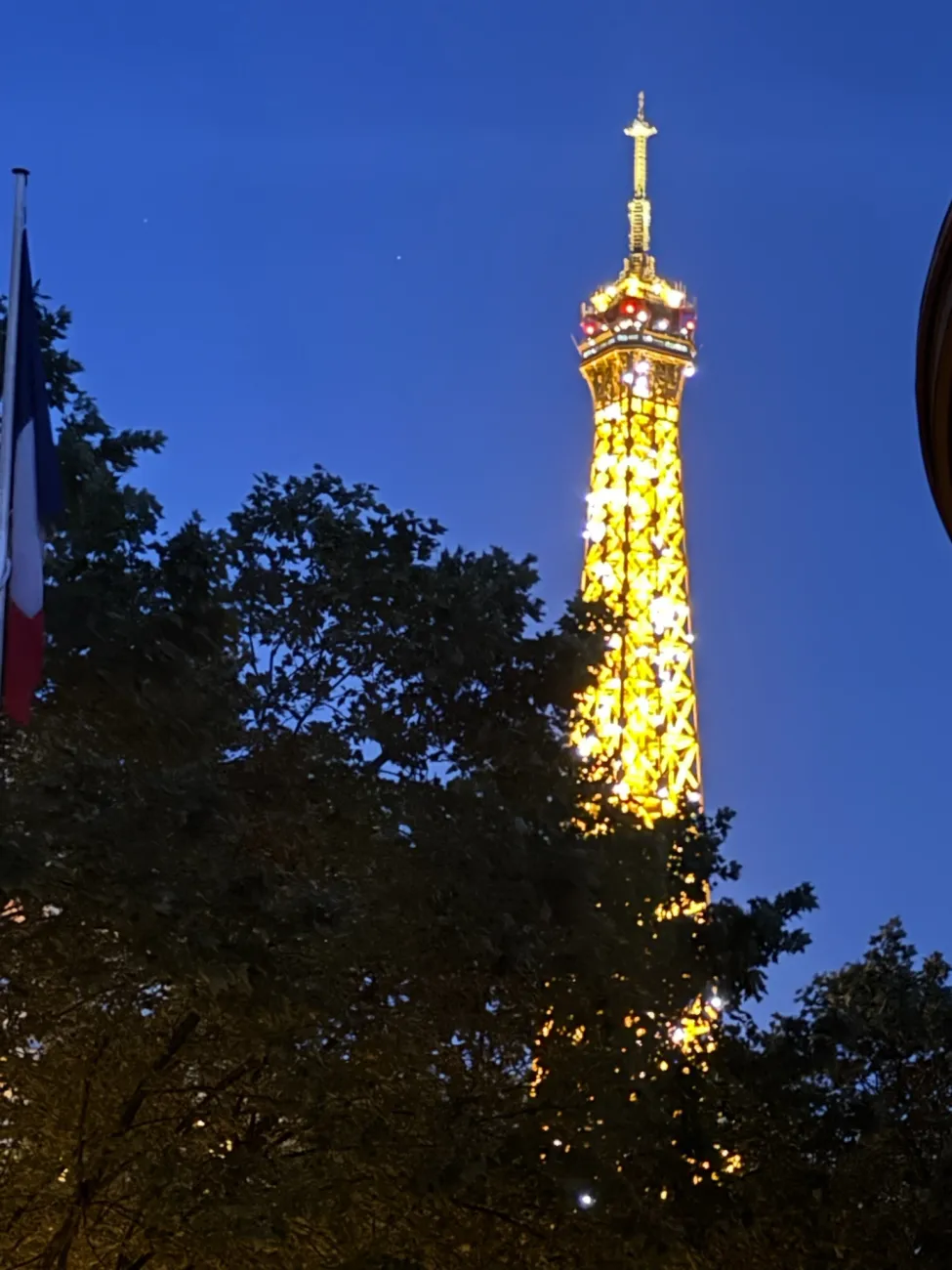 Illuminated Eiffel Tower sparkling above the trees on a clear Paris night