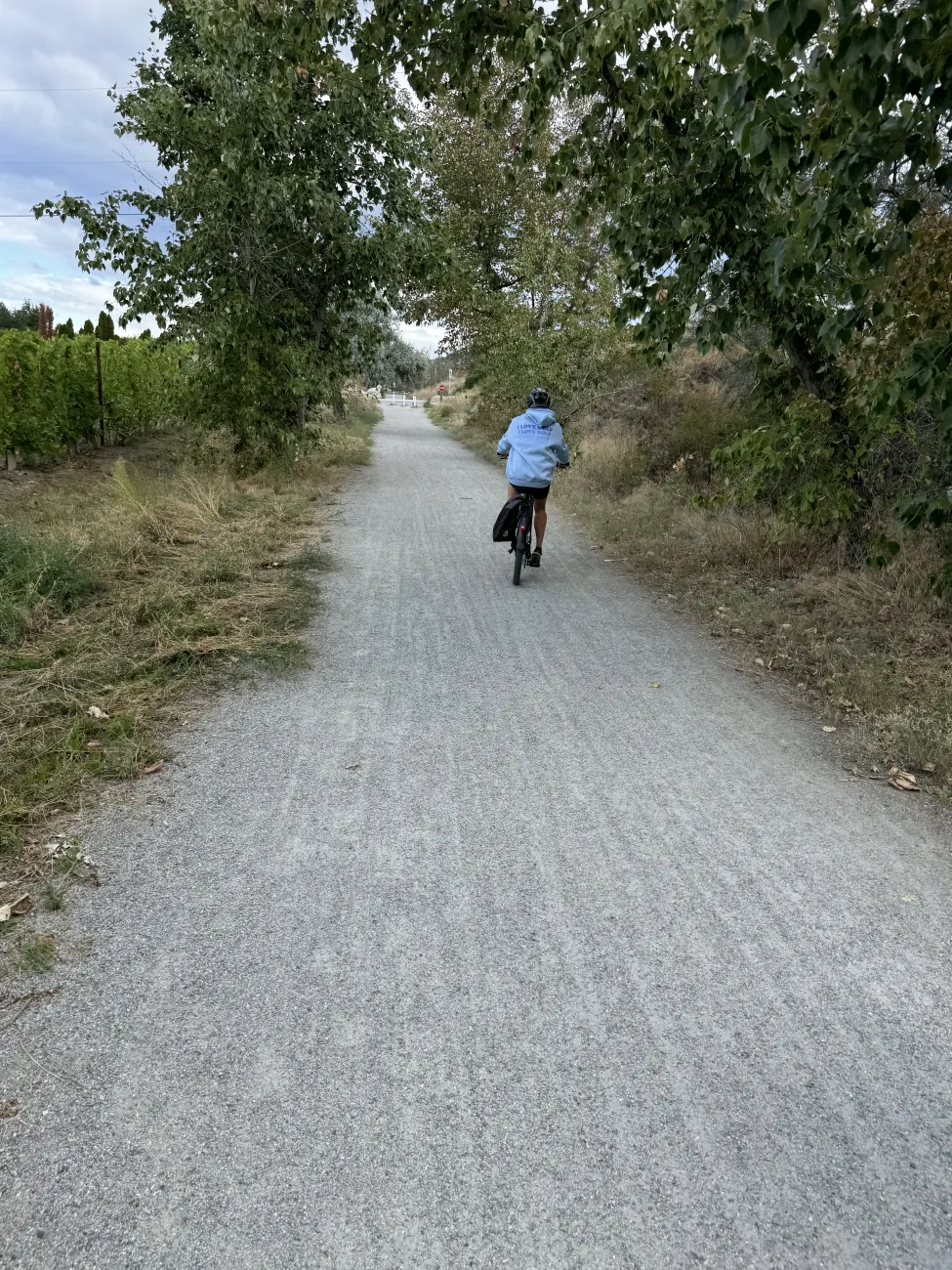 Cyclist riding along a gravel trail lined with trees and vineyards in the Okanagan Valley