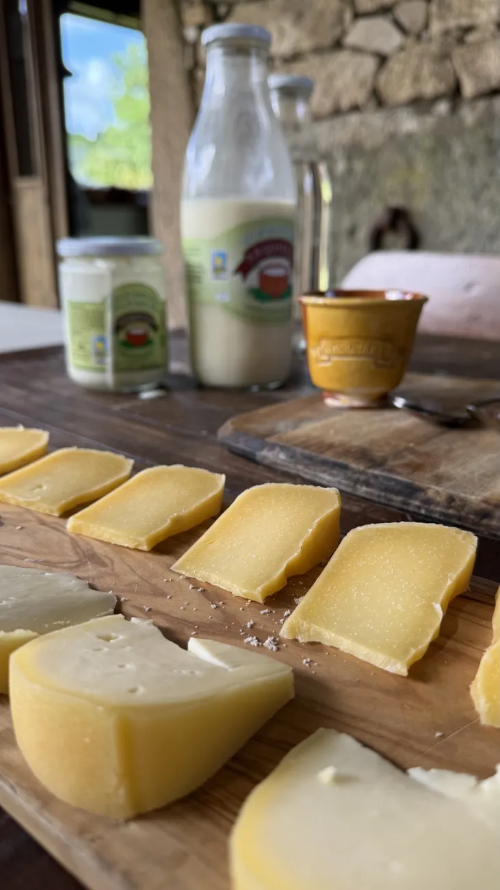 Tasting board of Arzúa and Galician farmhouse cheeses with local dairy products