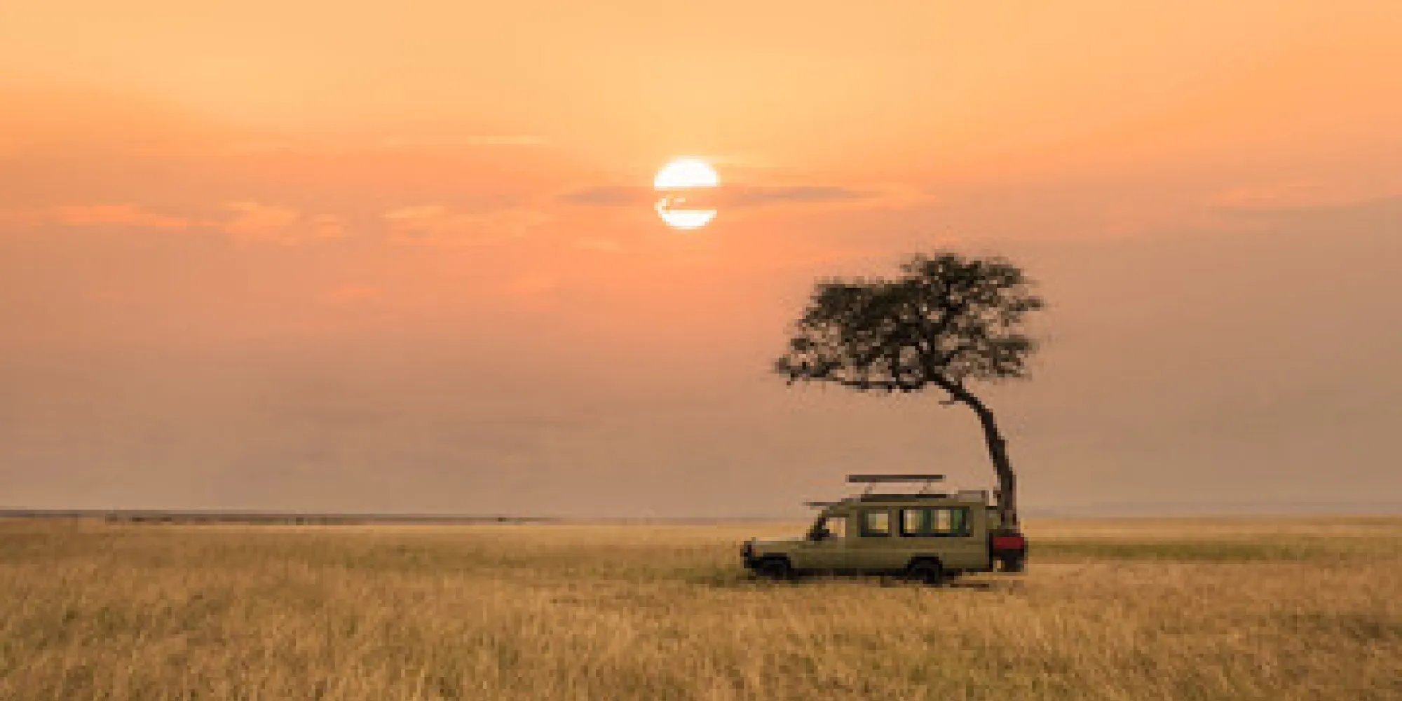 safari jeep sunset