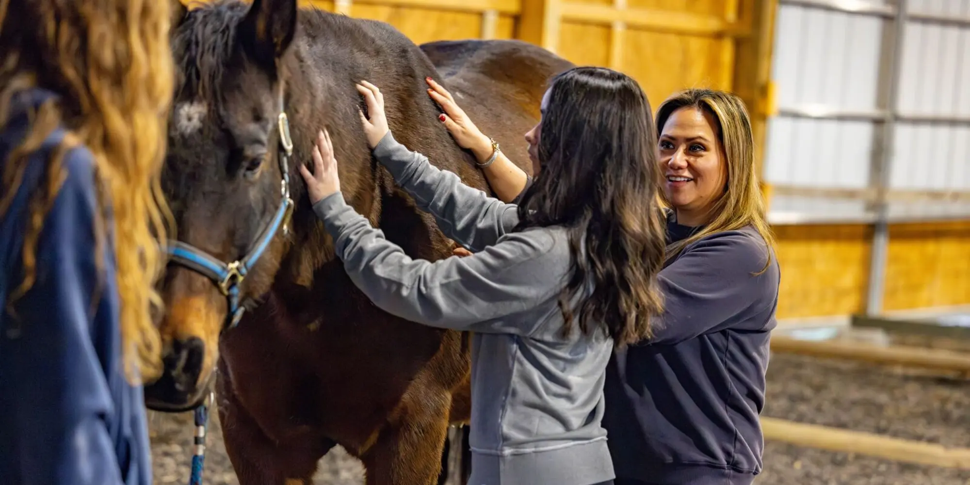 Barn and Equine Miraval Berkshire